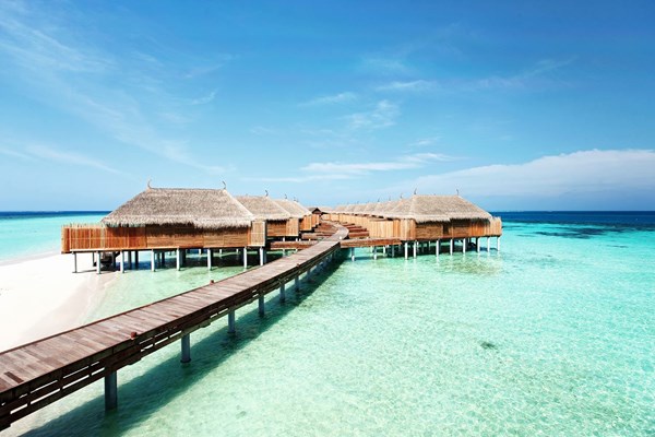 Privat bungalow på 5-stjernet resort i Maldiverne med all-inclusive fra 10.775,- pr. person