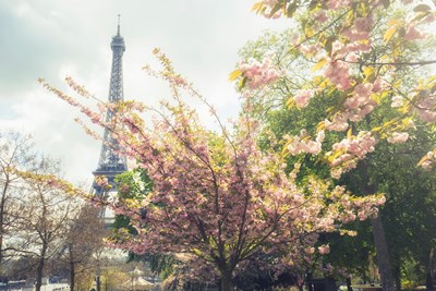 Forår i romantiske Paris fra kun 1.103,- i maj inkl. fly og 3-stjernet hotel