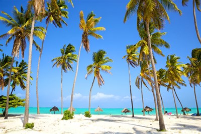 Oplev Zanzibar for blot 2.881,- (inkl. bagage) og bo på strandresort for kun 1.549,- i 7 nætter