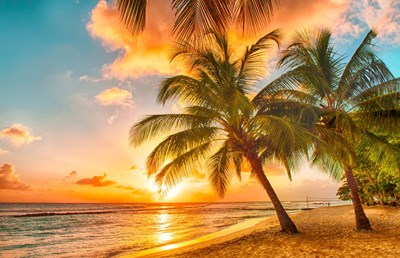 14 skønne dage i Thailand fra kun 3699,- inkl. fly og hotel 14 skønne dage i Thailand fra kun 3699,- inkl. fly og hotel