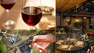 Toscana – Mad, vin og rendyrket IDYL til priser fra kun 2.325,- Toscana – Mad, vin og rendyrket IDYL til priser fra kun 2.325,-