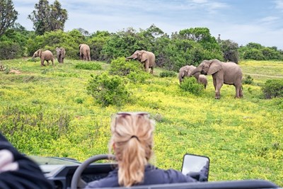 10 dages Big Five-safari i Sydafrika inkl. fly & hotel med halvpension