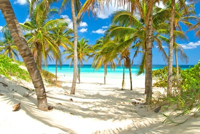 12 dages Cuba-rundrejse hvor kultur og strandferie forenes 12 dages Cuba-rundrejse hvor kultur og strandferie forenes
