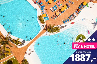 Sommervarme på De Kanariske øer fra kun 1887,- Sommervarme på De Kanariske øer fra kun 1887,-