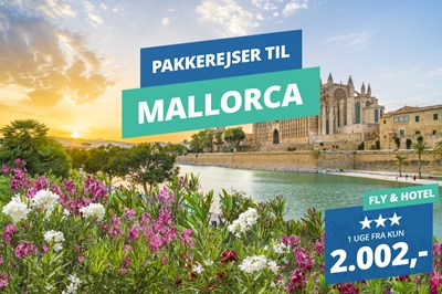 Billige pakkerejser til Mallorca i 2024 – Book en uge nu fra 2.002,-