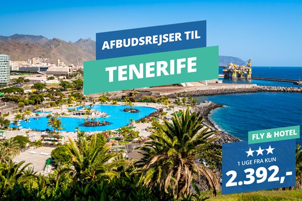 Snup en billig afbudsrejse til Tenerife fra 2.392,-