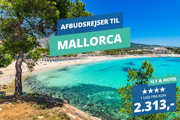 Var det noget med en afbudsrejse til Mallorca? Rejs afsted i en uge med både fly og 4-stjernet hotel fra 2.313,-