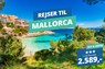 Rejs til Mallorca i september med fly t/r og 3? hotel i en uge fra 2.589,-