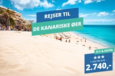 Rejs til De Kanariske Øer i december fra 2.740,- med fly t/r og hotel!