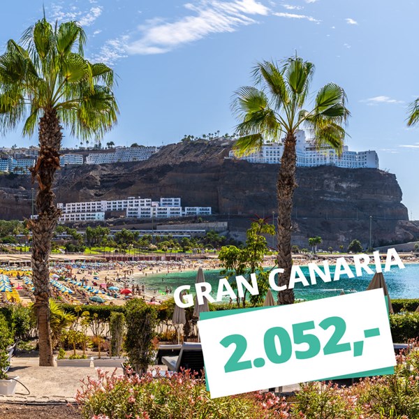 1 uges solferie på Gran Canaria – Afbudsrejser fra kun 2.052,- ☀️🏝️