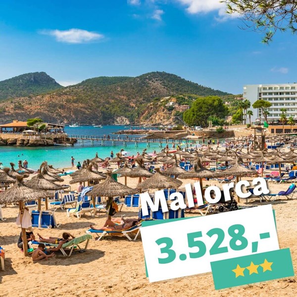 Rejs til Mallorca inden for 14 dage – afbudsrejser fra kun 3.528 kr.