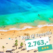 Rejs til Tenerife i december fra 2.763,- med fly t/r og 3★ hotel!