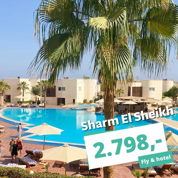 Rejs til Sharm El Sheikh på torsdag med All Inclusive for kun 2.798,- Rejs til Sharm El Sheikh på torsdag med All Inclusive for kun 2.798,-