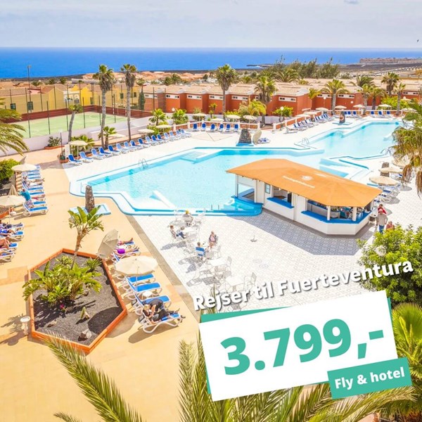 Billige All Inclusive rejser til Fuerteventura i december fra 3.799,-