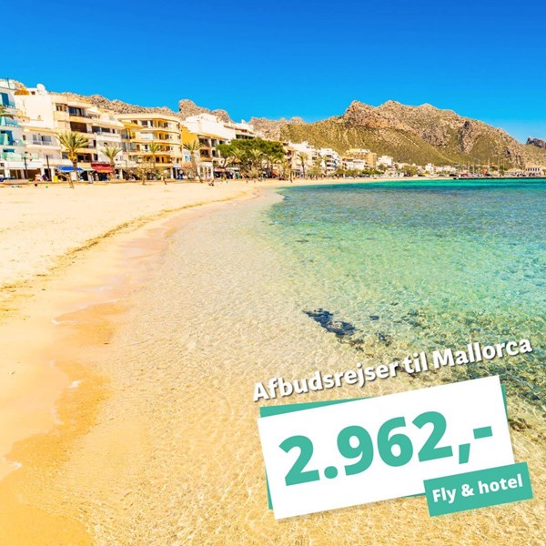 Rejs til Mallorca inden for 14 dage – afbudsrejser fra kun 2.962 kr. Rejs til Mallorca inden for 14 dage – afbudsrejser fra kun 2.962 kr.