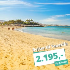 Rejs til Tenerife i december fra 2.195,- med fly t/r og hotel! Rejs til Tenerife i december fra 2.195,- med fly t/r og hotel!