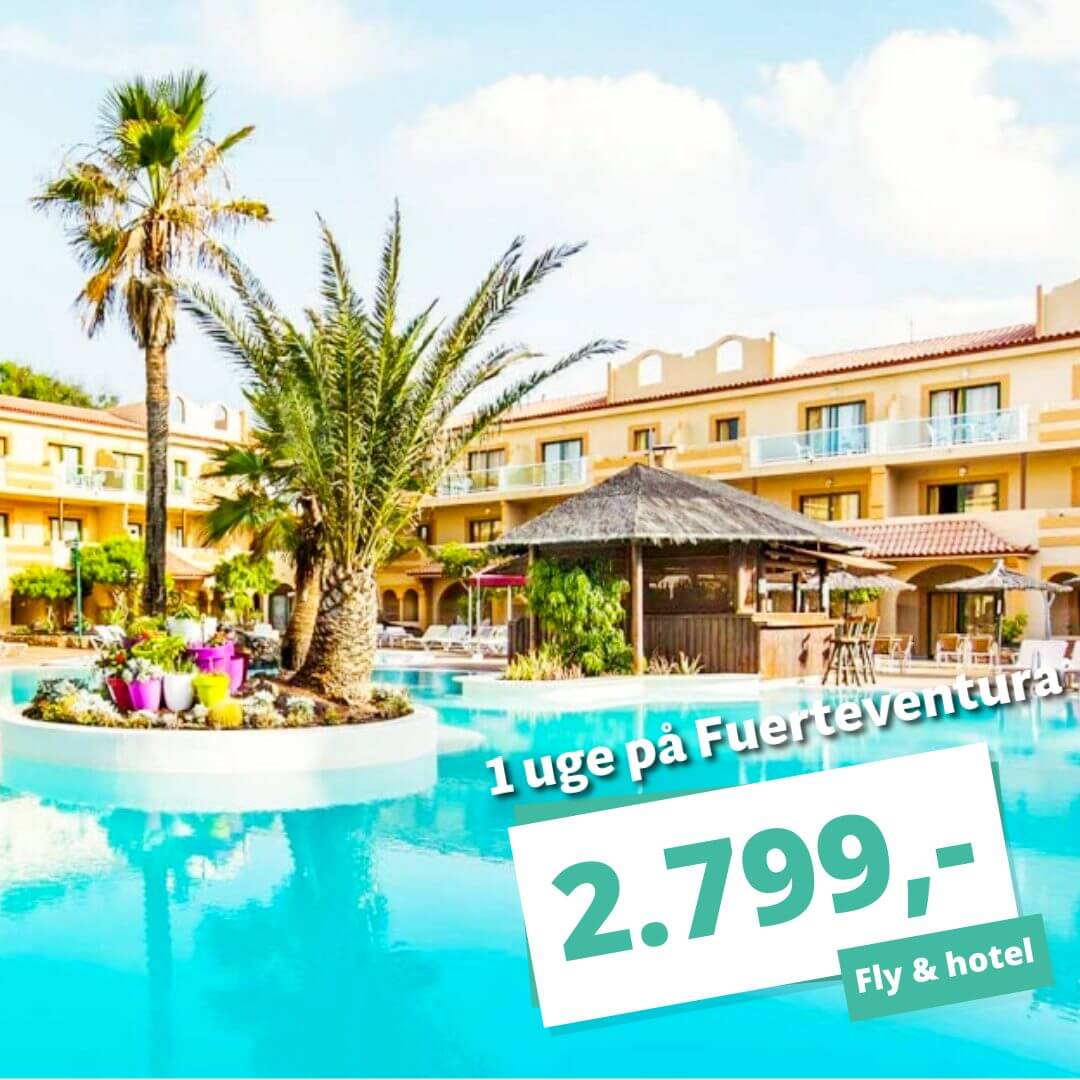 1 uge på Fuerteventura i december for kun 2.799,-