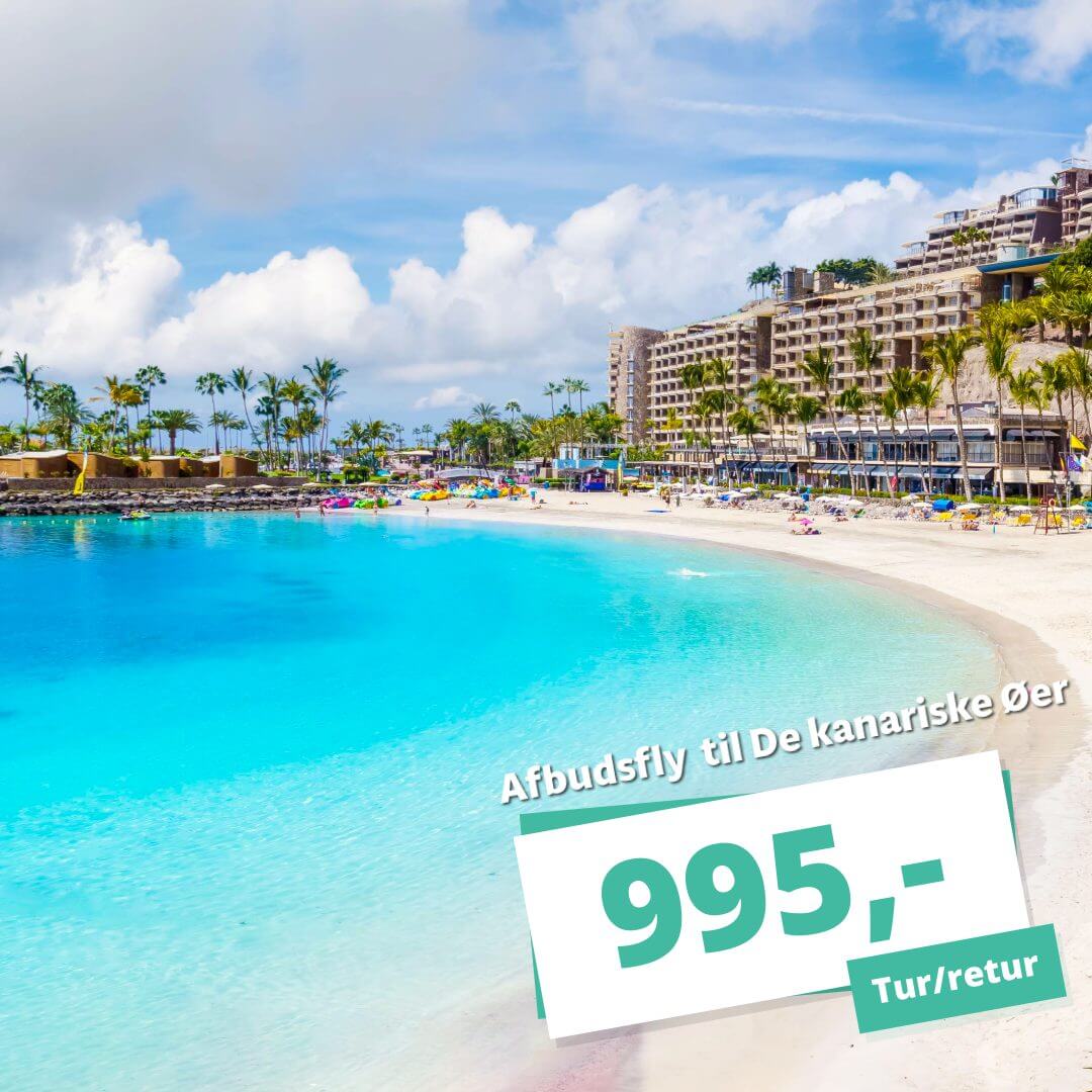 Afbudsfly t/r til De kanariske Øer fra 995,-