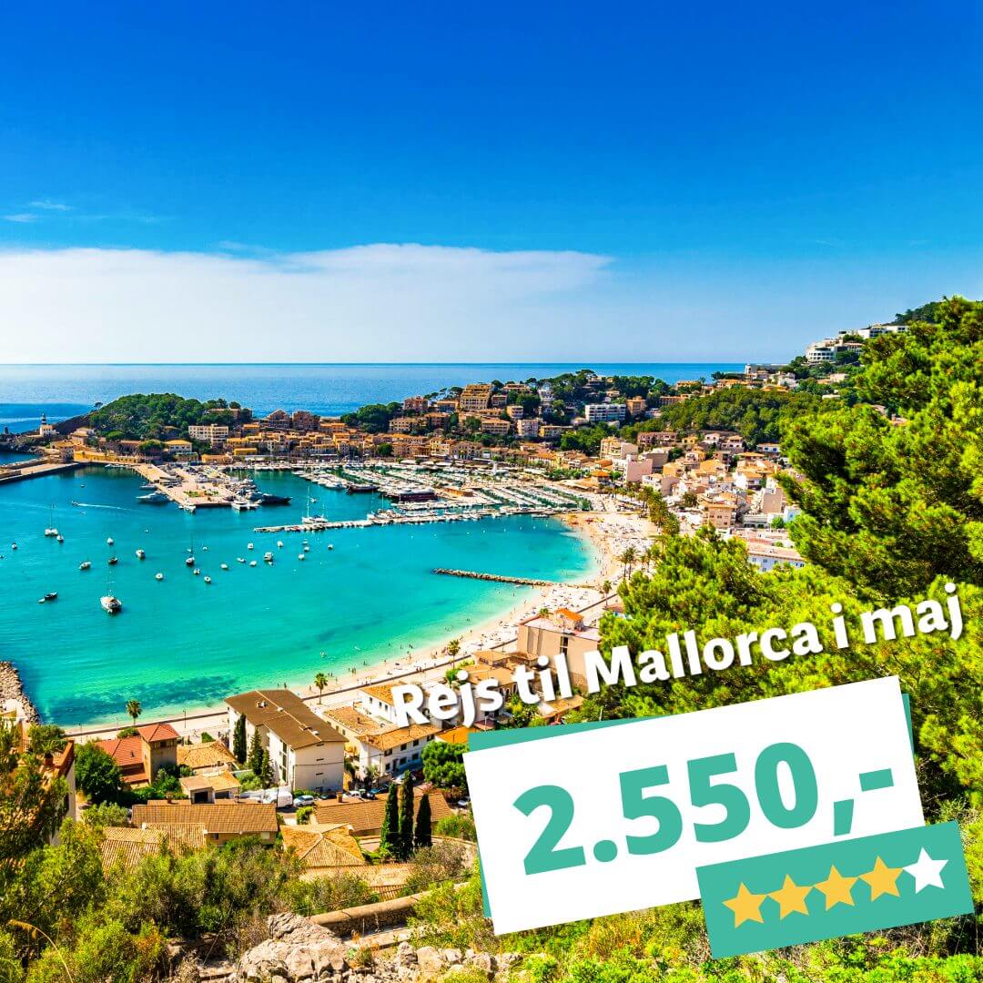 Billige 4? forårsrejser til Mallorca i maj med fly og hotel fra 2.550,-