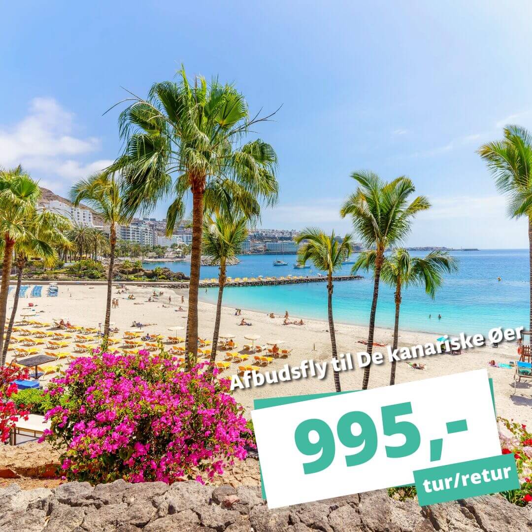 Afbudsfly t/r til De kanariske Øer fra 995,-
