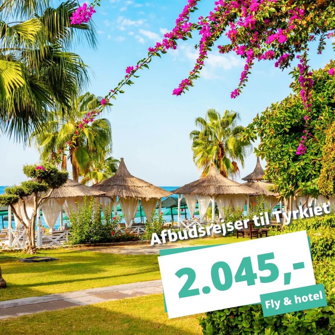 Billig ferie? Afbudsrejser til Tyrkiet fra 2.045 kr. inkl. fly og hotel