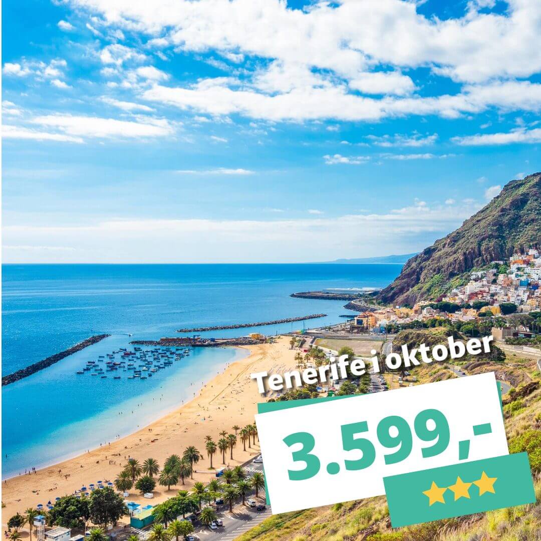 1 uge på Tenerife i oktober fra 3.599 kr. – inkl. fly og 3★ hotel