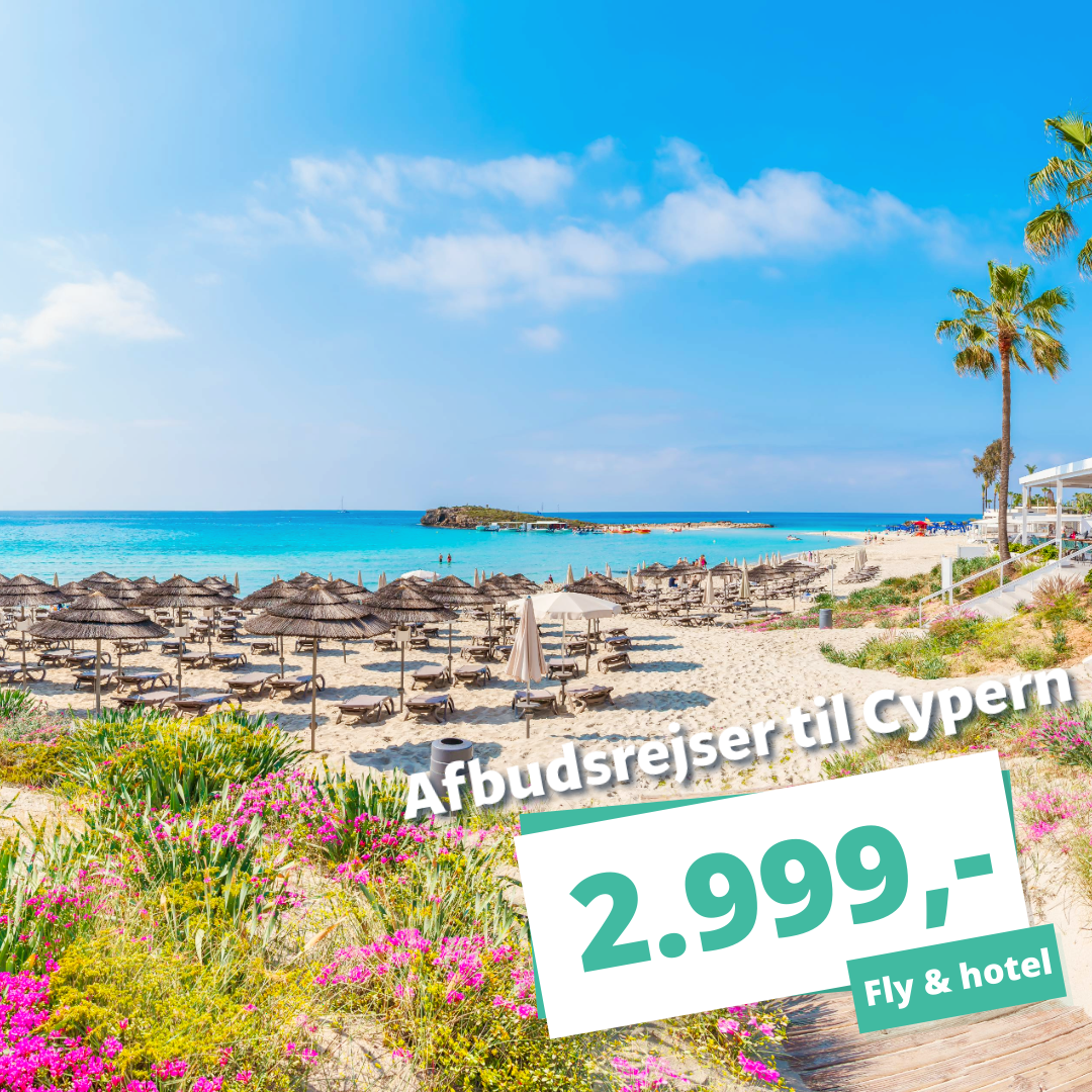 Billige afbudsrejser til Cypern fra 2.999,-