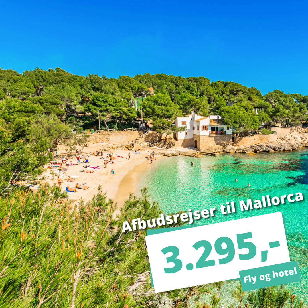 Rejs til Mallorca inden for 14 dage – afbudsrejser fra kun 3.295 kr.