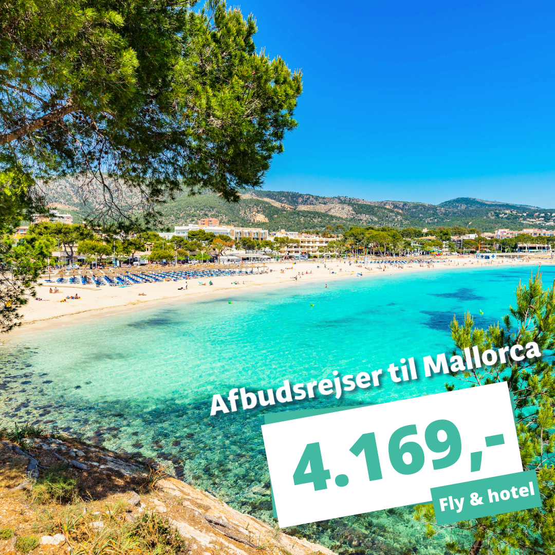 Rejs til Mallorca inden for 14 dage – afbudsrejser fra kun 4.169 kr.
